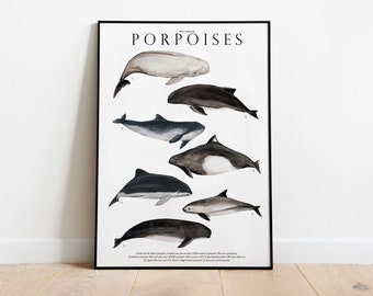 Porpoises giclée print, Illustration, Ocean animals, watercolor, Nursery Decor, dolphin and whale lover gift, educational natural history