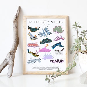Póster imprimible de nudibranquios (babosas marinas) del mundo, cuadro comparativo educativo, arte mural de nudibranquios, arte infantil, decoración de pared, amante del océano
