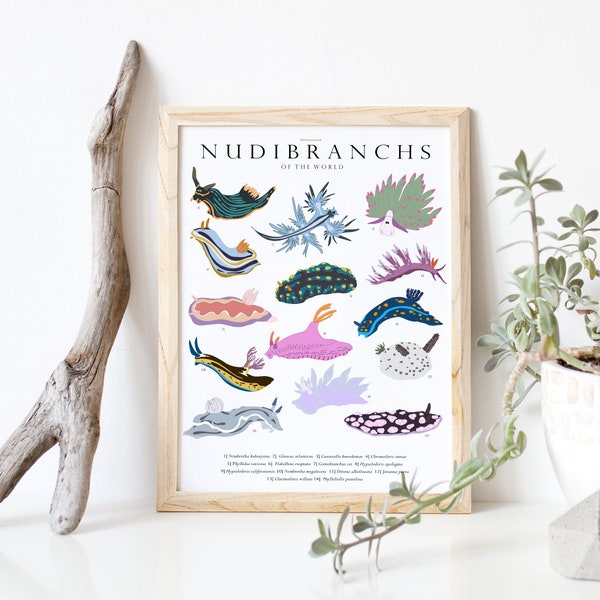 PRINTABLE Nudibranchs (Seaslugs) of the world poster, Educational Comparison Chart, Nudibranch wall art, nursery art, wall decor,ocean lover