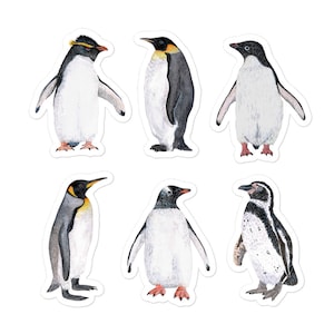 Pinguïnstickers, set van 6 kiss-cut stickers, dagboekstickers, plakboeksticker, sticker schattige dieren, sticker dieren in het wild