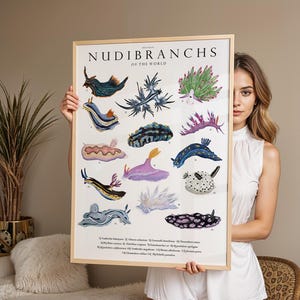 Impression giclée nudibranches du monde, illustration faite main, aquarelle d'animaux de l'océan, décoration de chambre d'enfant, limaces de mer, carte de biologie marine