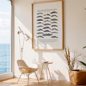 Gicléeprint van spitssnuitdolfijnen, illustratie, oceaandieren, aquarel, decor kinderkamer, cadeau walvisliefhebber, educatieve natuurhistorische print