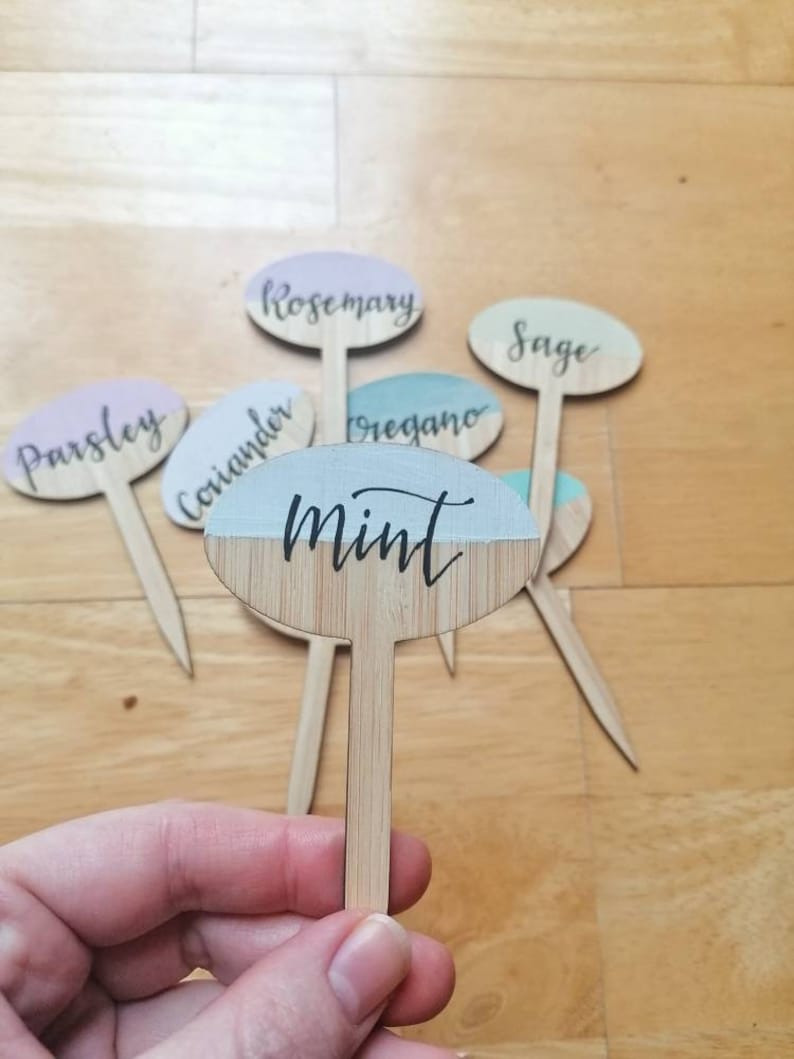 Colourful Plant Labels Cute Wooden Plant Names Pretty Etsy