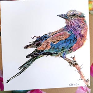 Regenbogen Vogel Grußbild