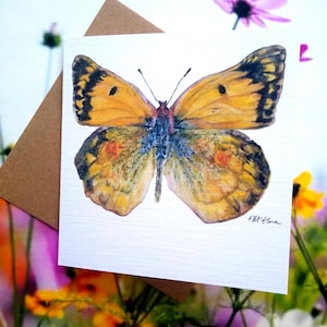 Carte de voeux papillon soleil