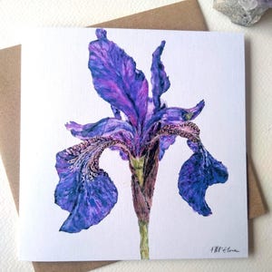Wenskaart paarse iris