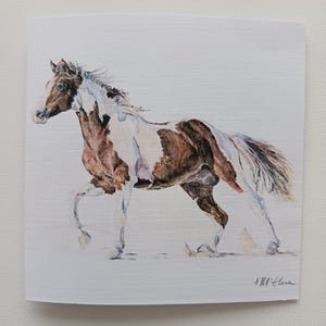 American Paint Horse Greeting Card