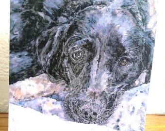 Black Labrador Greeting Card