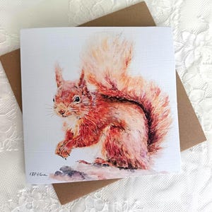 Red Squirrel Greeting Card