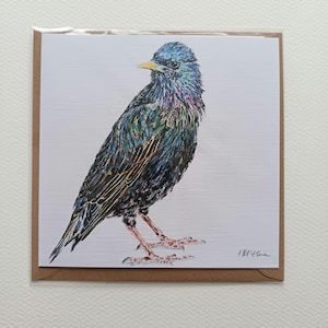 Starling Grußkarte