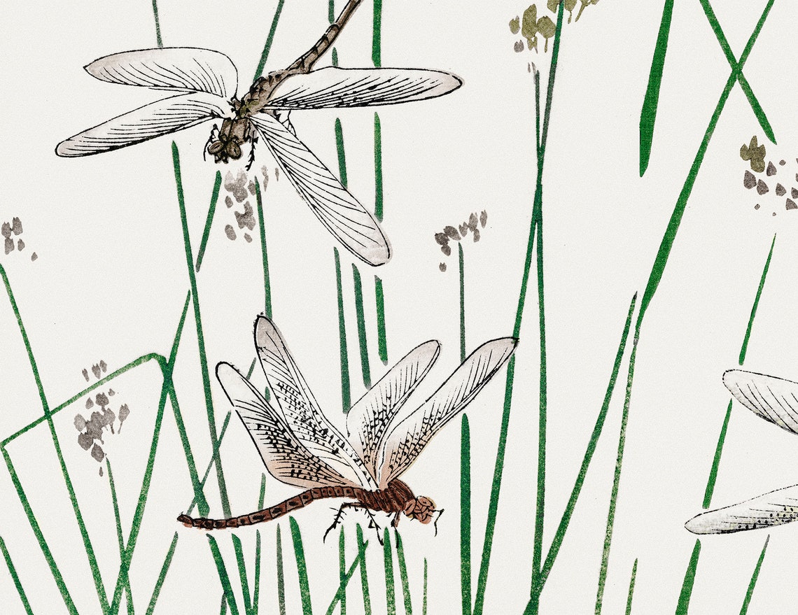 Dragonfly Print Dragonfly Wall Art Japanese Print Etsy