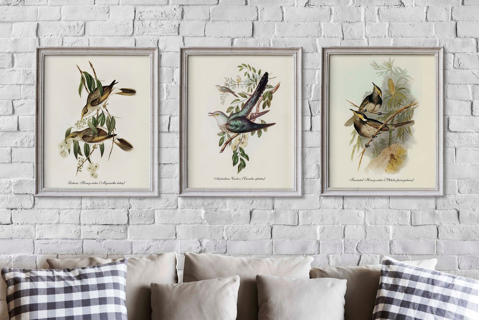Bird print set Vintage birds Bird wall art Botanical bird Etsy