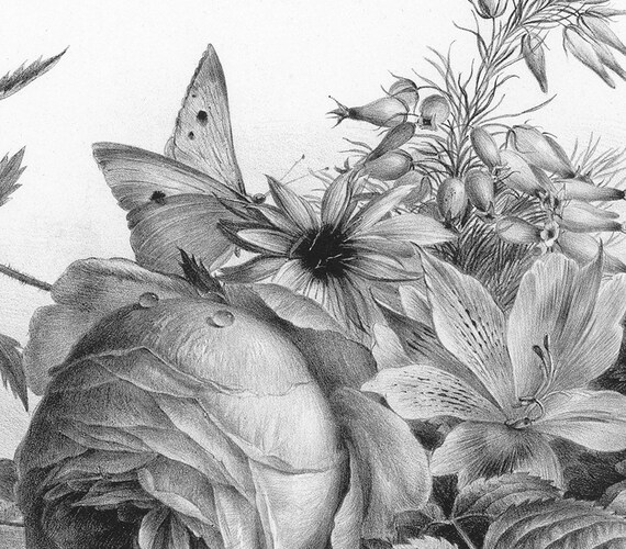 Rose Flower Print Pencil Sketch Flower Black White Wall Art Vintage Rose Print Flower Pencil Drawing Art Print Bouquet Of Flowers Art