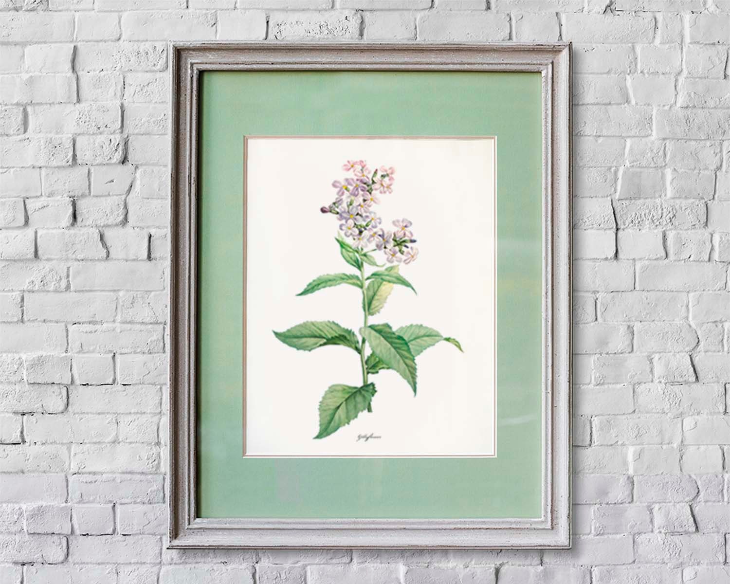 Wildflower print set Botanical prints Meadow flowers art Etsy