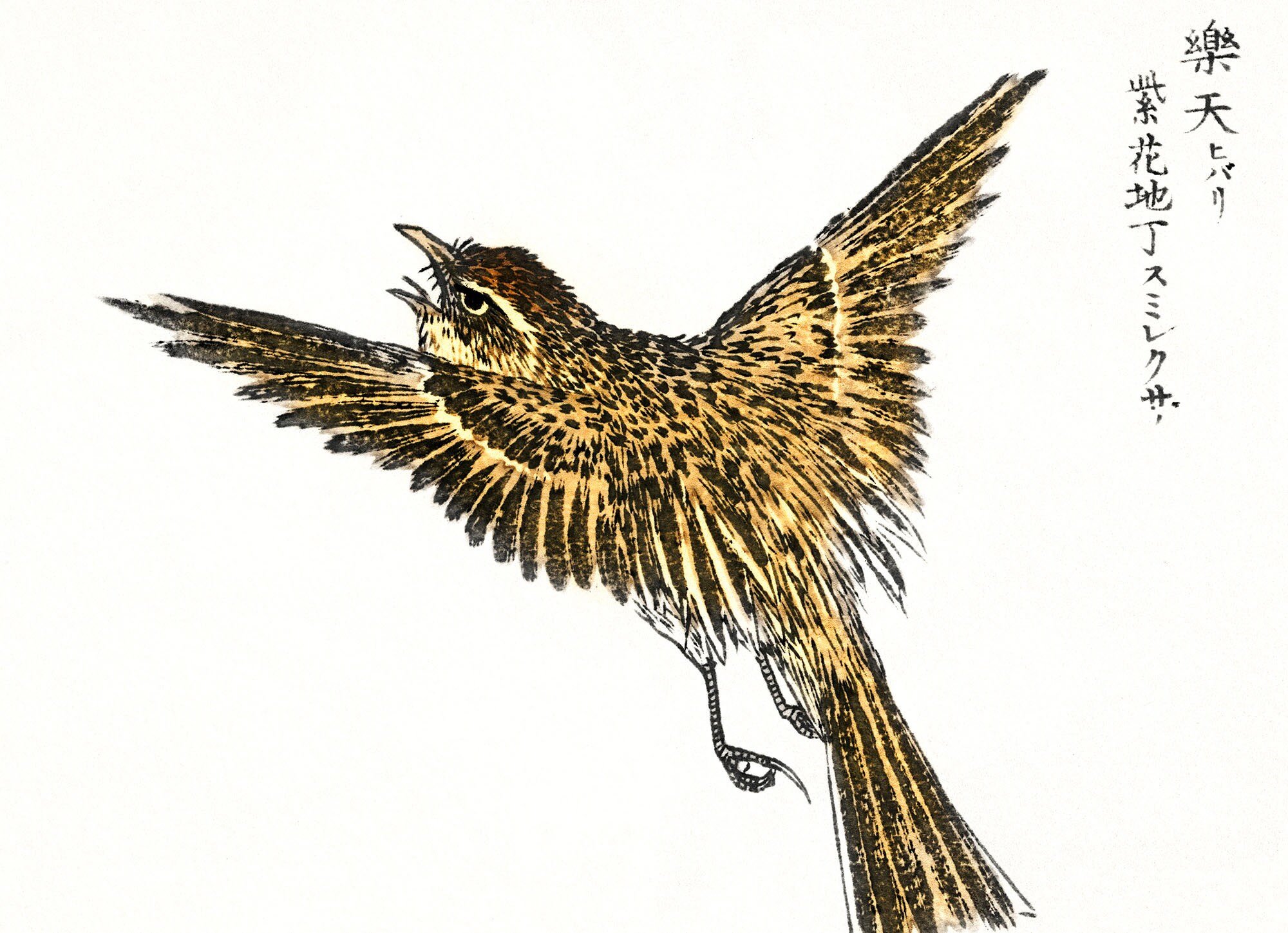 Conjunto de 2 impresiones de pájaros Xilografía imprimible | Etsy