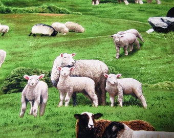 Schaf Sheep Schafe Lamm Lämmer   Patchworkstoff Baumwolle 50x110 cm