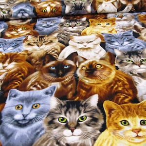 Gatti Gatto Gatto Tessuto patchwork di cotone Timeless 50 x 110 cm