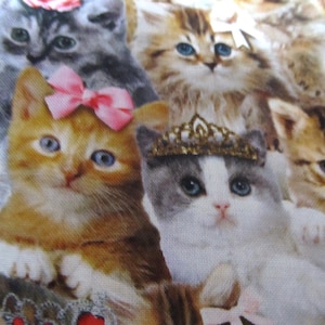 Gatti con corona e fiocco Principessa Gatto Tessuto patchwork di cotone senza tempo 50 x 110 cm