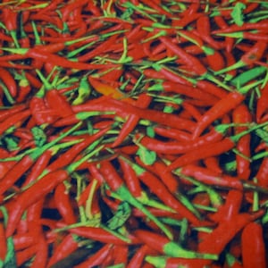 Pepperoni  Chilli   Baumwolle Patchworkstoff  scharf rot   50x110 cm