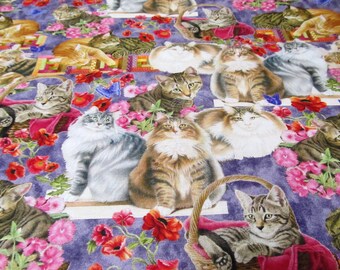 Katzen im Garten  Cat  Katze  Baumwolle Patchworkstoff  50x110 cm