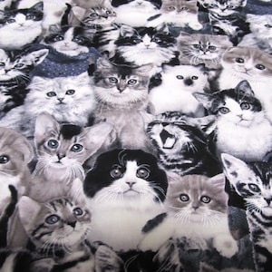 Cats Cat Black White Cat Breeds Cotton Patchwork Fabric 50 x 110 cm