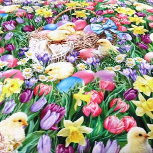 Ostereier Tulpen  Küken Hühnchen Ostern Timeless Baumwolle Patchworkstoff   50x110 cm