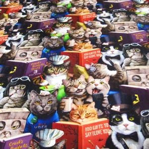 Puede incluir: Una tela colorida con un patrón repetitivo de gatos con sombreros y sosteniendo libros. Los libros tienen títulos como "Crook's Guide to Theft" y "100 Gifts to Say I Love You".