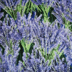 Lavendel Lavendula Tidlöst bomullslapptäcke 50 x 110 cm