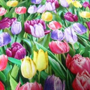 Tulpen  Tulip Frühling  Ostern Timeless Baumwolle Patchworkstoff   50x110 cm