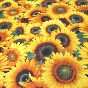 Sonnenblume Sunflower  Sommer  Baumwolle Patchworkstoff   50x110 cm