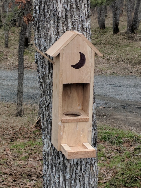 Squirrel Feeder Etsy
