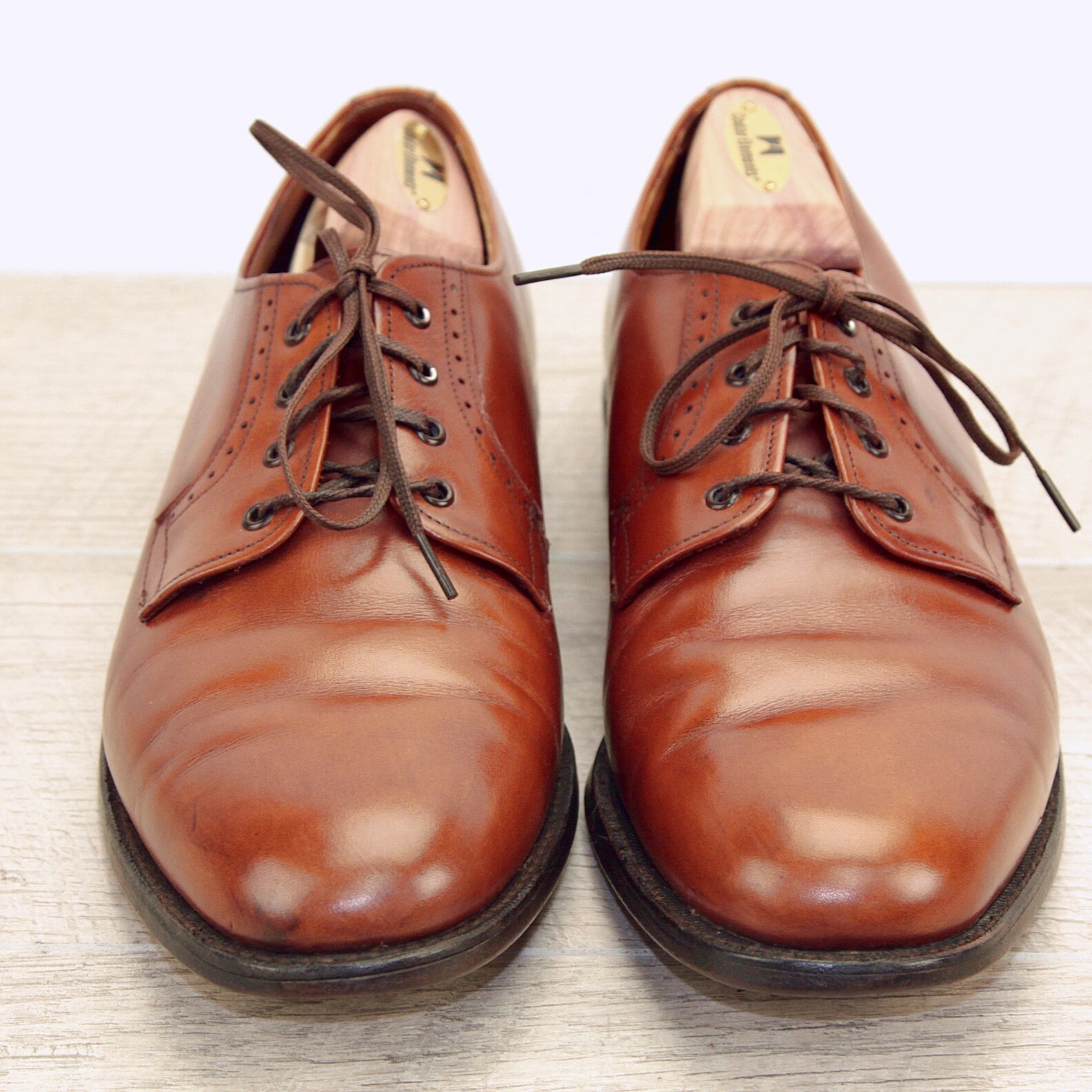 Allen Edmonds CANTON 9 D Chili new AE Bags Laces (without shoe trees)