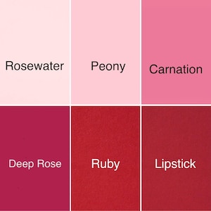 Puede incluir: Una paleta de colores con seis tonos de rosa y rojo. Los colores est&aacute;n etiquetados como "Rosewater", "Peony", "Carnation", "Deep Rose", "Ruby" y "Lipstick". La imagen se divide en seis bloques rectangulares, cada uno mostrando un color diferente.