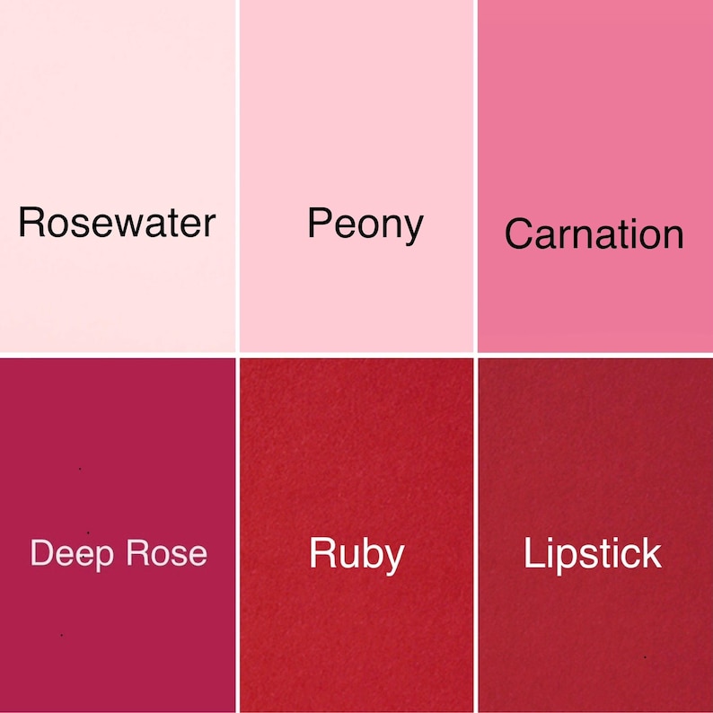 Puede incluir: Una paleta de colores con seis tonos de rosa y rojo. Los colores est&aacute;n etiquetados como "Rosewater", "Peony", "Carnation", "Deep Rose", "Ruby" y "Lipstick". La imagen se divide en seis bloques rectangulares, cada uno mostrando un color diferente.