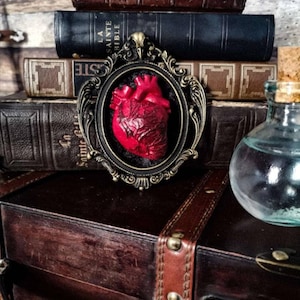Anatomical heart occult gothic home decor