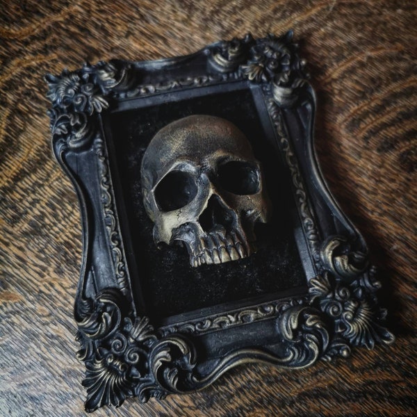 Human skull edwardian gothic home decor