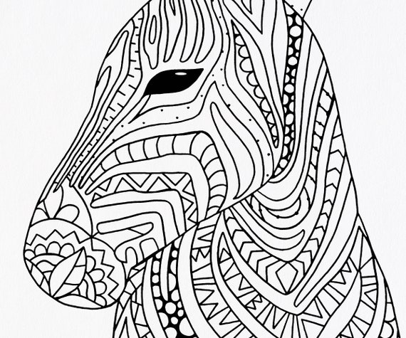 Zebra Colouring In Picture