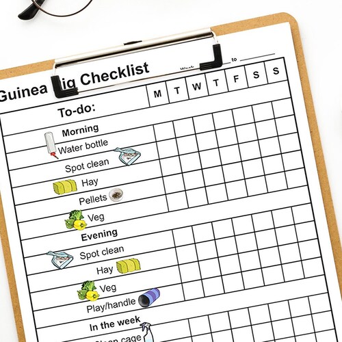 Guinea Pig Food List Printable PDF Safe Fruits & Vegetables Etsy