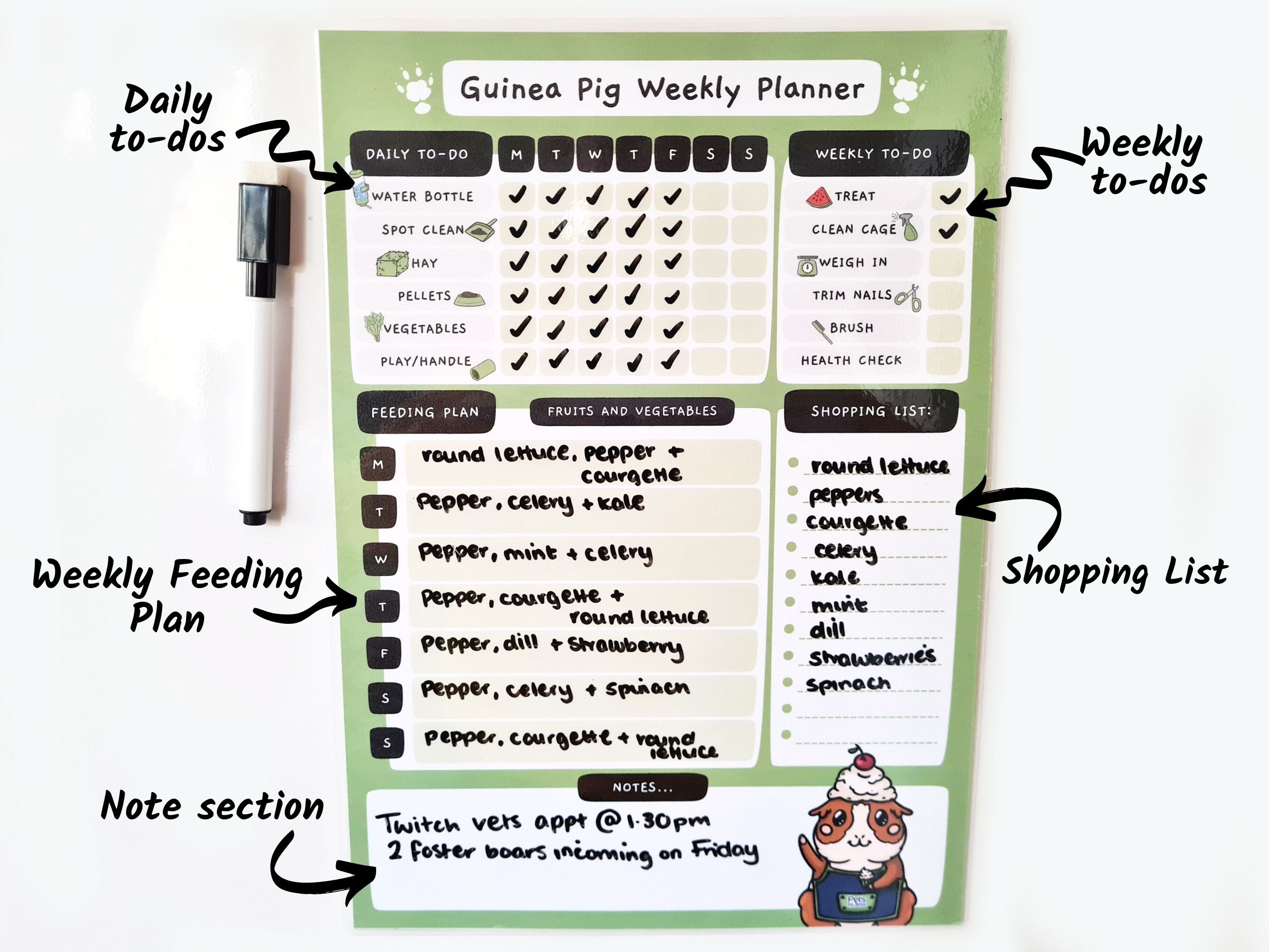 Guinea Pig Magnetic Weekly Planner Checklist Routine Chore | Etsy