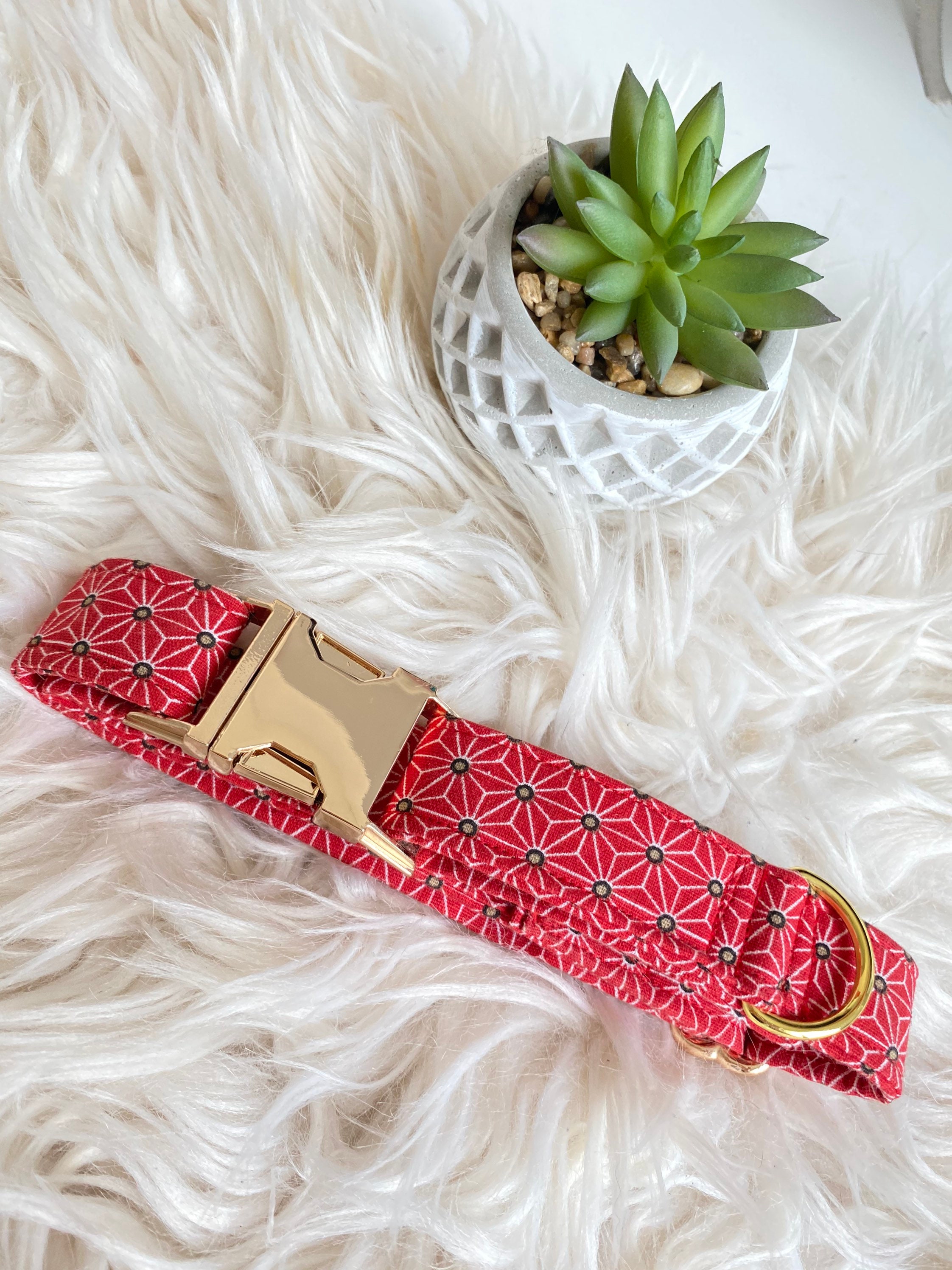 Collier Pour Chien/Chat Modèle Adriel Personnalisable