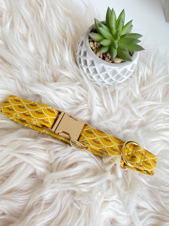 Collier Pour Chien Chat Modele Anoki Personnalisable Etsy Collier Pour Chien Chat Modele Anoki Personnalisable Etsy