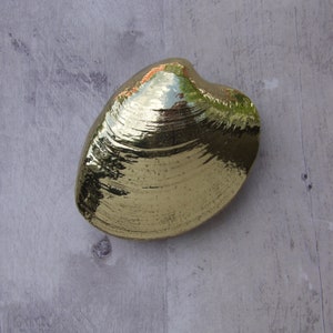 Op de afbeelding: Een gouden schelp met een glad, glanzend oppervlak. De schelp heeft een hartvorm en is licht geopend.