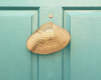 Clam Door Knocker