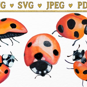 Coccinella SVG, file di taglio decalcomanie artistiche, invito alla festa carina Lady Bug Little Girl, Clipart di insetti scarabeo