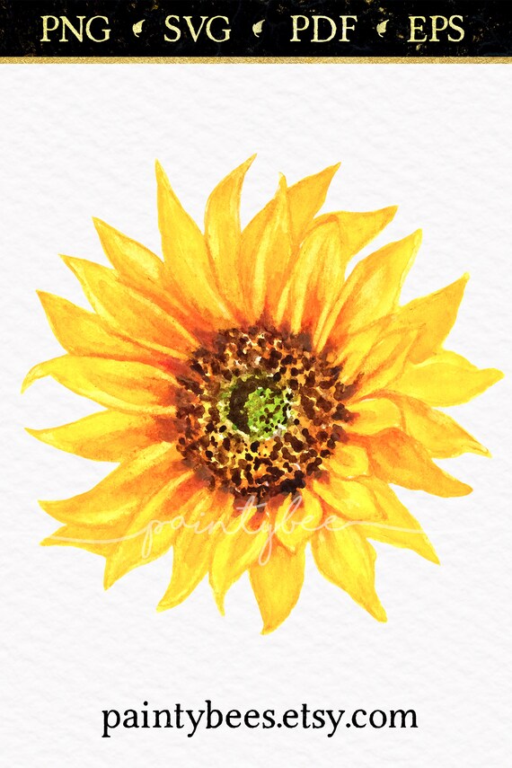 Download Watercolor Flower Clipart Sunflower Clipart Sunflower Etsy
