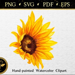 Watercolor Sunflower SVG, Floral Clipart, Girasol Flowers PNG