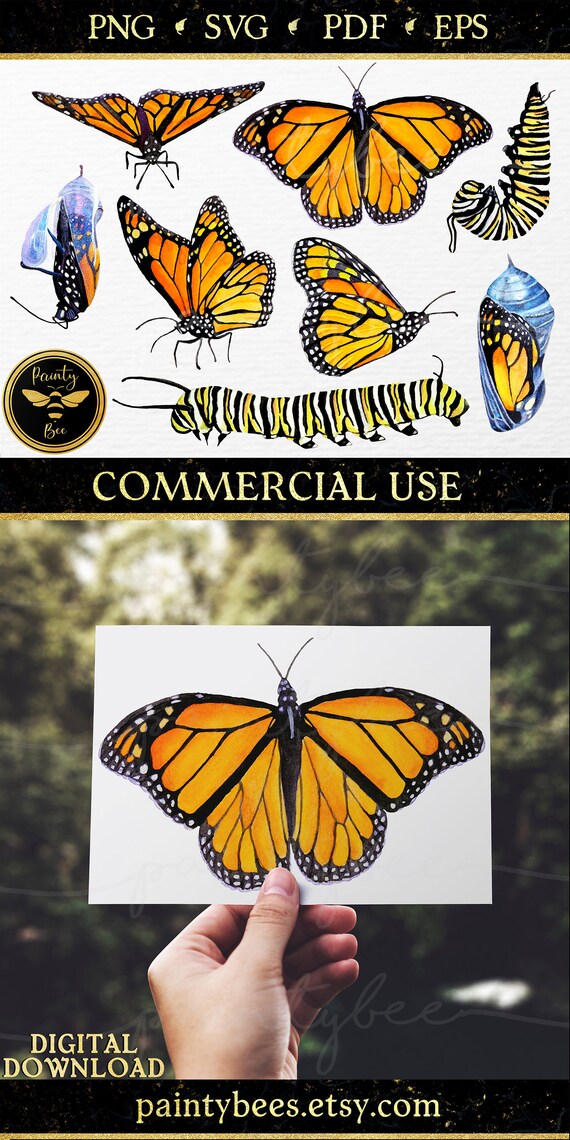 Download Monarch Butterfly Png Watercolor Butterfly Svg Butterfly Etsy