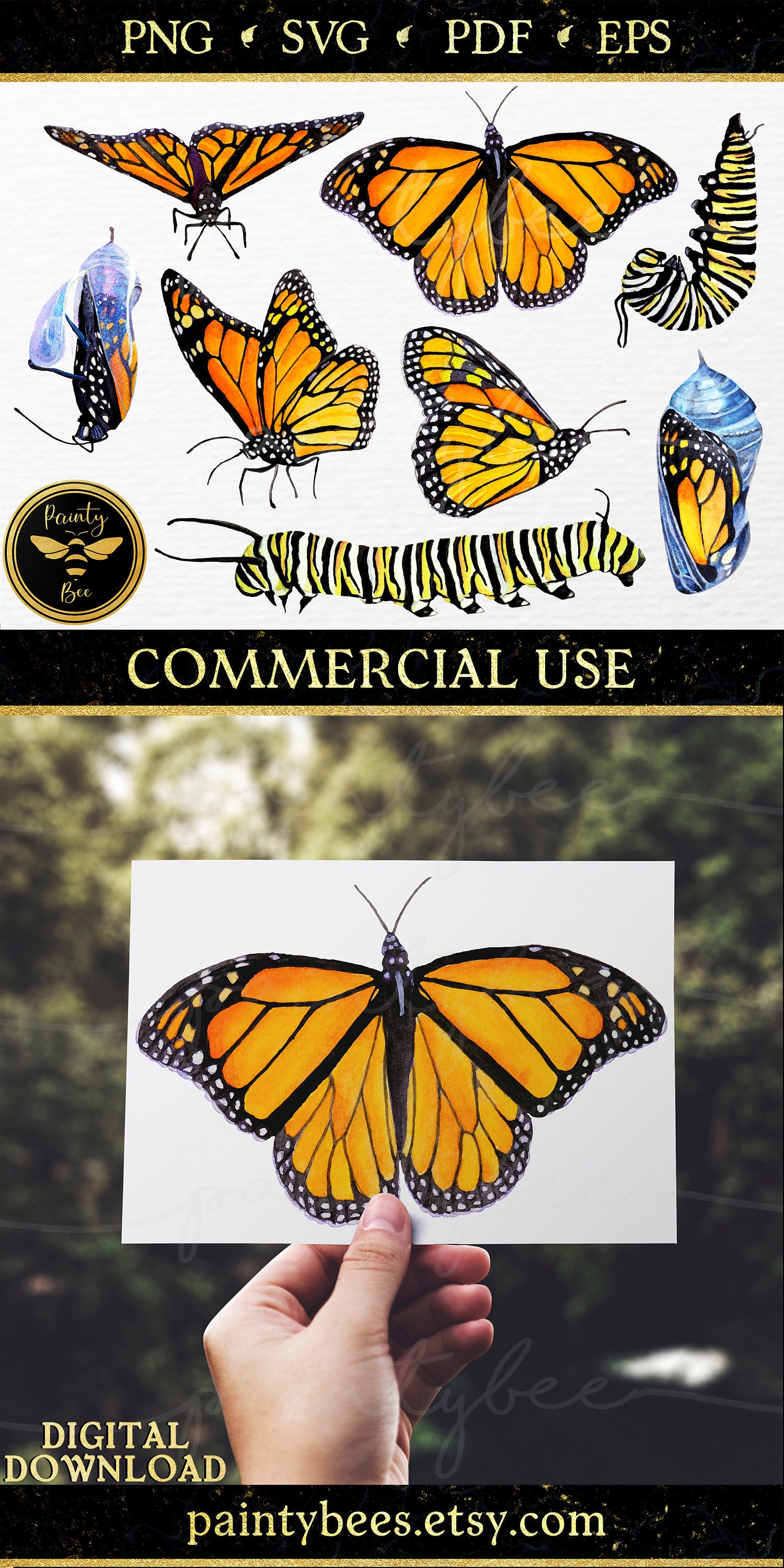 Download Monarch Butterfly Png Watercolor Butterfly Svg Butterfly Etsy