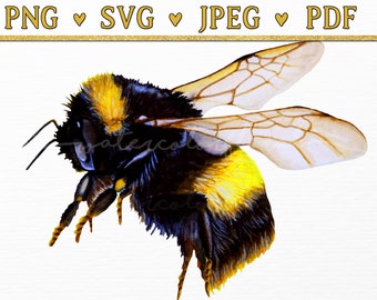 Watercolor Bumble Bee SVG, Honey Bee Clip Art, Save The Bees Tumbler Gift, Bee Hive Sign Clipart