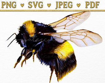 Imágenes prediseñadas de abejorros en acuarela: Abeja melífera SVG, PNG, PDF